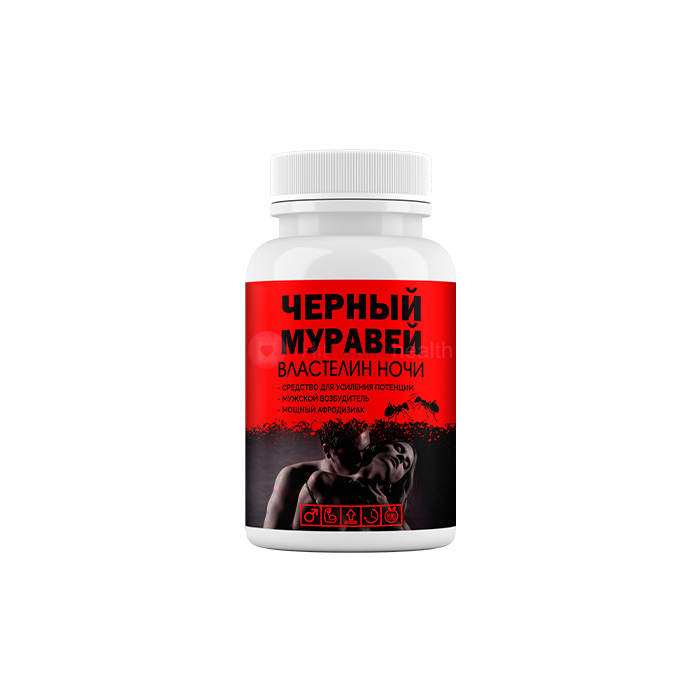 Черный муравей